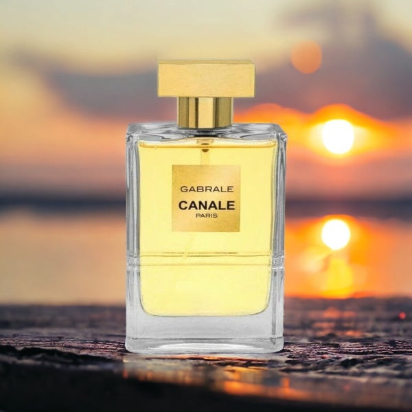 Gabrale Canale Paris Eau De Parfum Spray 100ml